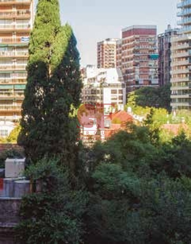 En el lado verde de Belgrano. Proyecto joven en un barrio consolidado.
