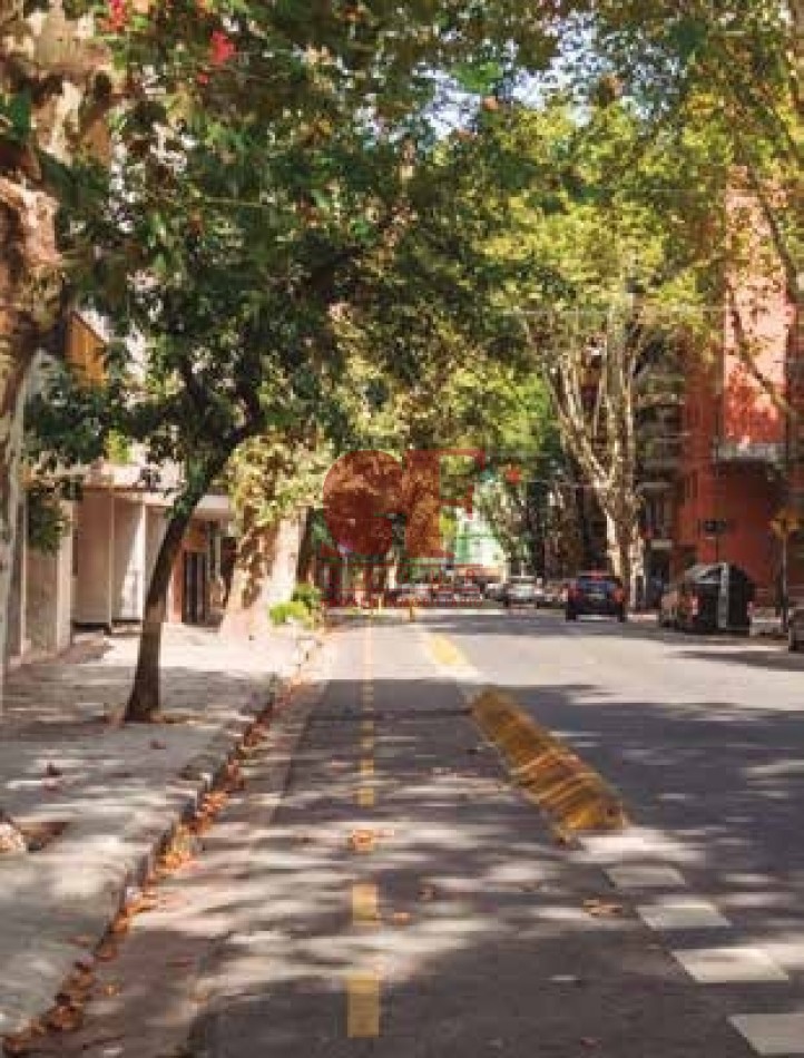 En el lado verde de Belgrano. Proyecto joven en un barrio consolidado.