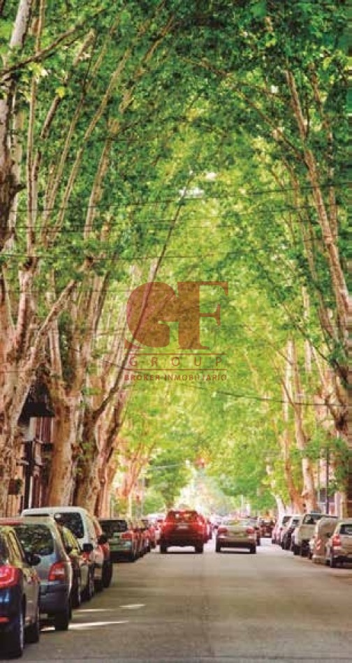 En el lado verde de Belgrano. Proyecto joven en un barrio consolidado.